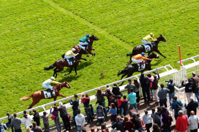 Arrivée quinté pmu PRIX SICIE à AUTEUIL