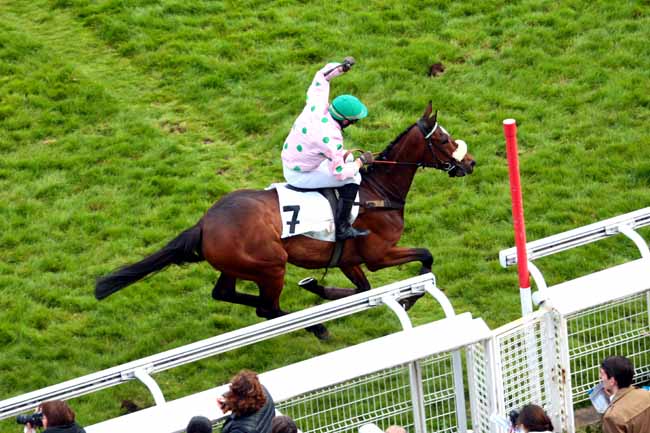 Arrivée quinté pmu PRIX DE PAU à AUTEUIL
