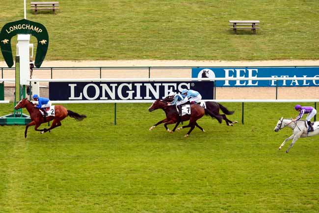 Arrivée quinté pmu PRIX MACHADO à LONGCHAMP