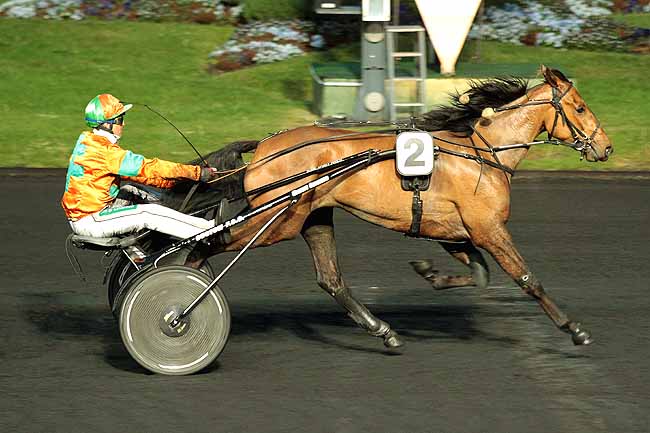 Arrivée quinté pmu PRIX MASINA à PARIS-VINCENNES