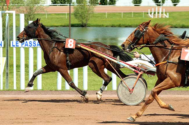 Arrivée quinté pmu PRIX DE L'ENTREPRISE MALET à AGEN LE PASSAGE