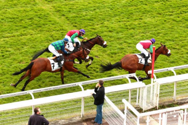 Arrivée quinté pmu PRIX GO AHEAD à AUTEUIL