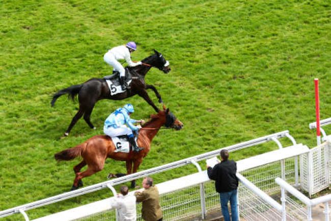 Arrivée quinté pmu PRIX VALMAJOUR à AUTEUIL