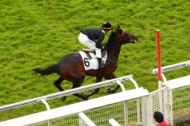Arrivée quinté pmu PRIX WILD MONARCH à AUTEUIL