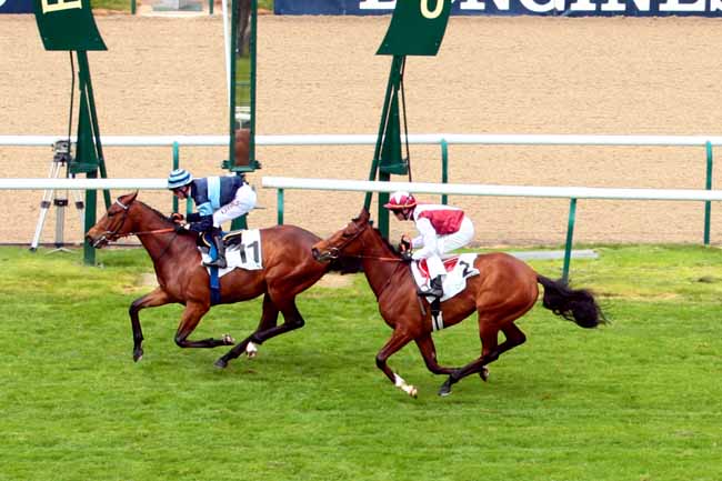 Arrivée quinté pmu PRIX DES GRES à CHANTILLY