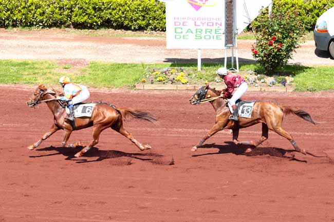 Arrivée quinté pmu PRIX DE MARSEILLE à LYON LA SOIE