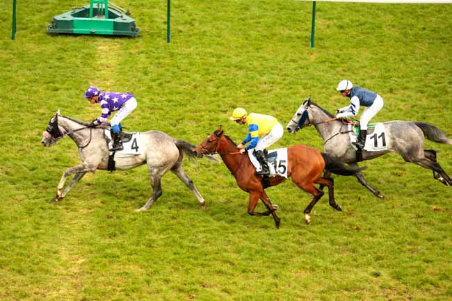Arrivée quinté pmu PRIX DU PARC MONTSOURIS à LONGCHAMP