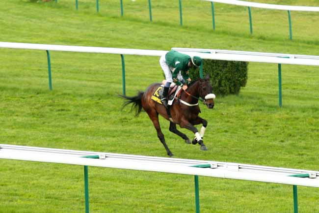 Arrivée quinté pmu PRIX DES ANDELYS à COMPIEGNE