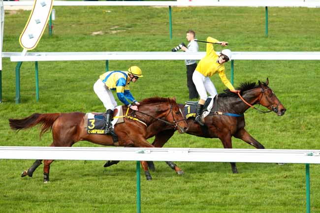 Arrivée quinté pmu PRIX XAVIER DE CHEVIGNY à COMPIEGNE