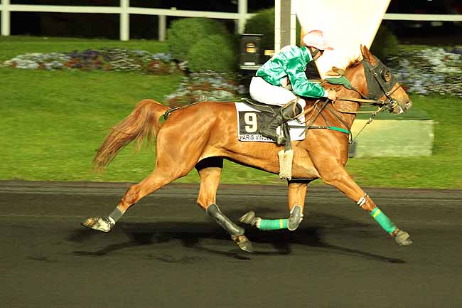 Arrivée quinté pmu PRIX ASIA à PARIS-VINCENNES