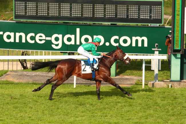 Arrivée quinté pmu PRIX GOOD LUCK à SAINT-CLOUD