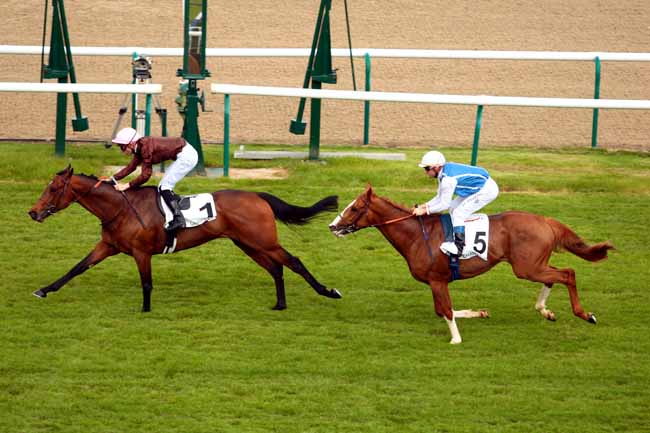 Arrivée quinté pmu PRIX DU PUITS AUX CHIENS à CHANTILLY