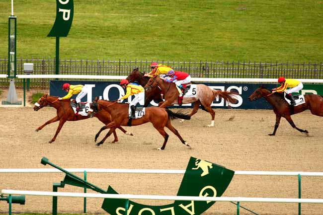 Arrivée quinté pmu PRIX DU BOIS BONNET à CHANTILLY
