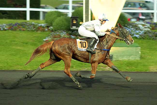 Arrivée quinté pmu PRIX ICLEA à PARIS-VINCENNES