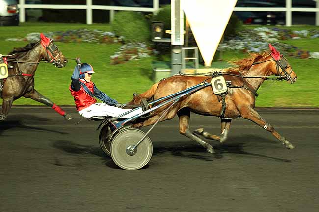Arrivée quinté pmu PRIX HAPATIA à PARIS-VINCENNES