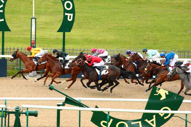 Arrivée quinté pmu PRIX DE MOLTON à CHANTILLY