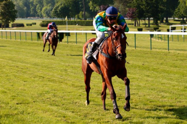 Arrivée quinté pmu PRIX DE CHAMPLIEU à COMPIEGNE