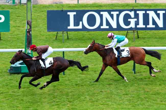 Arrivée quinté pmu PRIX DE MONTRETOUT à LONGCHAMP