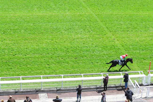 Arrivée quinté pmu PRIX LE GUALES DE MEZAUBRAN à AUTEUIL