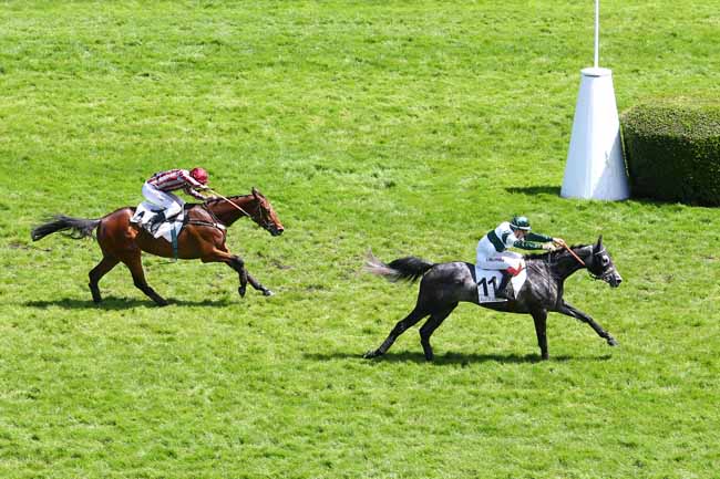 Arrivée quinté pmu PRIX JASMIN II à AUTEUIL