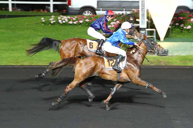 Arrivée quinté pmu PRIX AURIGA à PARIS-VINCENNES