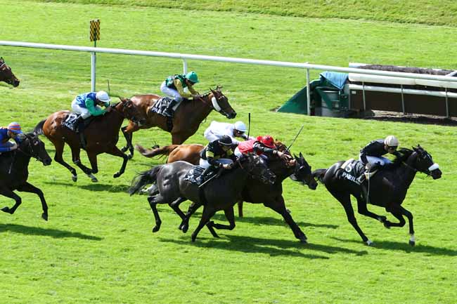 Arrivée quinté pmu PRIX RINCK à LYON-PARILLY
