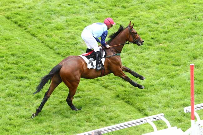 Arrivée quinté pmu PRIX MIROR à AUTEUIL