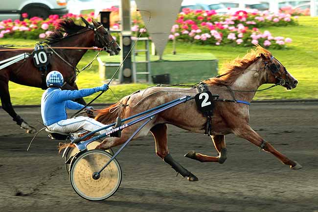 Arrivée quinté pmu PRIX CAECILIA à PARIS-VINCENNES