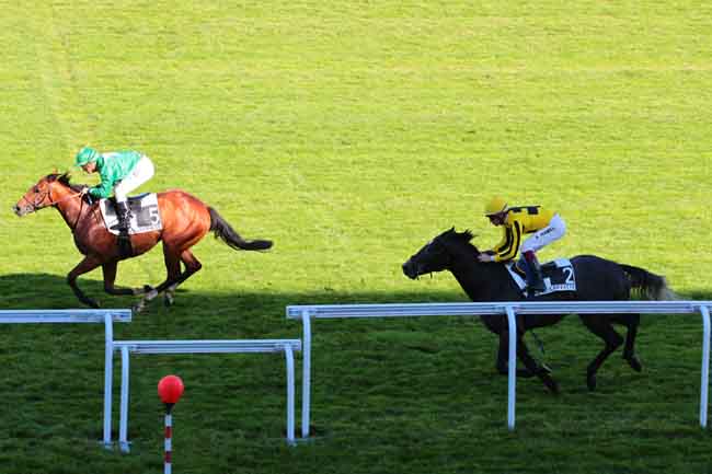 Arrivée quinté pmu PRIX DES PETRONS à MAISONS-LAFFITTE