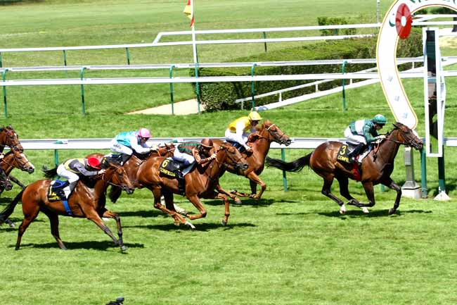 Arrivée quinté pmu PRIX DE MERCIERES à COMPIEGNE