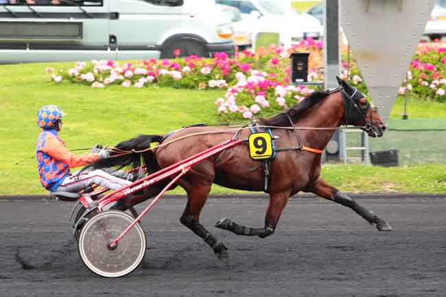 Arrivée quinté pmu PRIX DU DAUPHINE à PARIS-VINCENNES