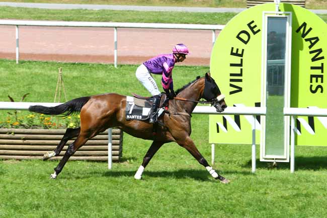 Arrivée quinté pmu PRIX GERALD DE ROCHEFORT à NANTES