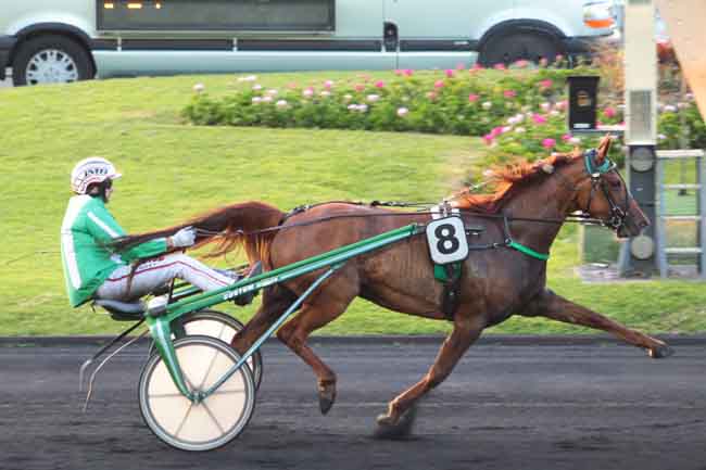 Arrivée quinté pmu PRIX ORONTIUS à PARIS-VINCENNES