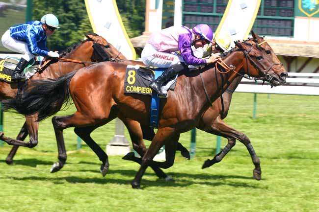 Arrivée quinté pmu PRIX DE RESSONS à COMPIEGNE