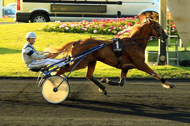 Arrivée quinté pmu PRIX DU JOURNAL GENYCOURSES - PRIX CLEMENTINA à PARIS-VINCENNES