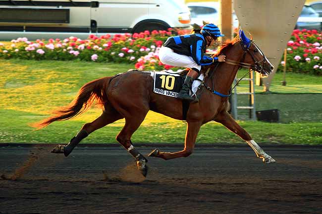 Arrivée quinté pmu PRIX MUTUS à PARIS-VINCENNES