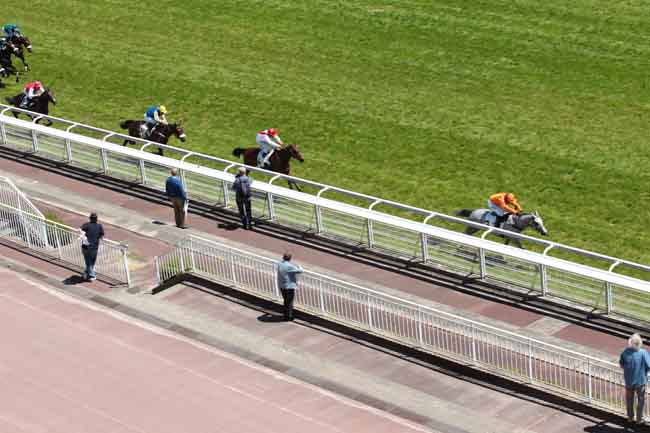 Arrivée quinté pmu PRIX FRASCATI à AUTEUIL