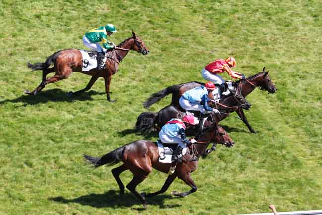 Arrivée quinté pmu PRIX PHARAON à AUTEUIL