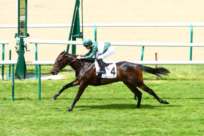 Arrivée quinté pmu PRIX DE MONT L'EVEQUE à CHANTILLY