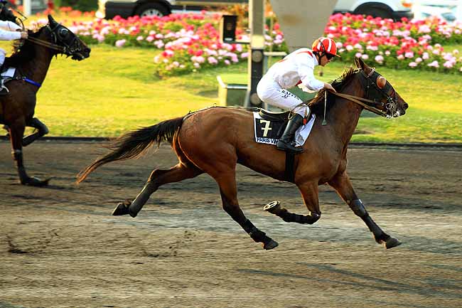 Arrivée quinté pmu PRIX MY LITTLE PARIS à PARIS-VINCENNES