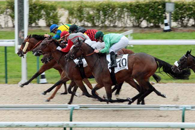 Arrivée quinté pmu PRIX DE LANGERAIS à DEAUVILLE