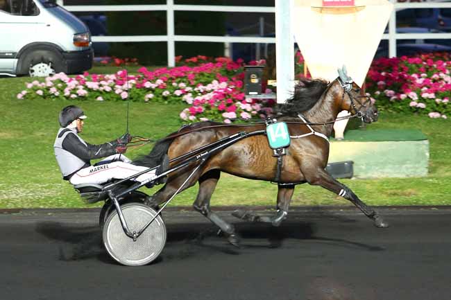 Arrivée quinté pmu PRIX URANIA à PARIS-VINCENNES