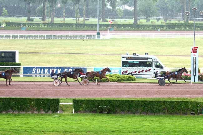 Arrivée quinté pmu PRIX DE LA PORTE SAINT-MARTIN à ENGHIEN