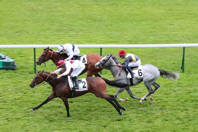Arrivée quinté pmu PRIX DU QUARTIER LATIN à LONGCHAMP