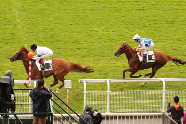Arrivée quinté pmu PRIX MESSIDOR à MAISONS-LAFFITTE