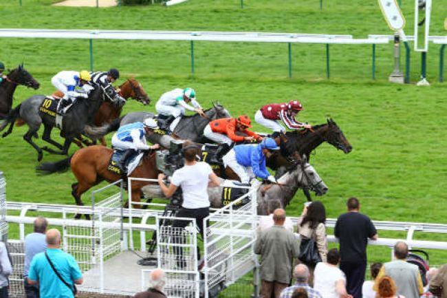 Arrivée quinté pmu PRIX DE LA FORET DE LAIGUE à COMPIEGNE