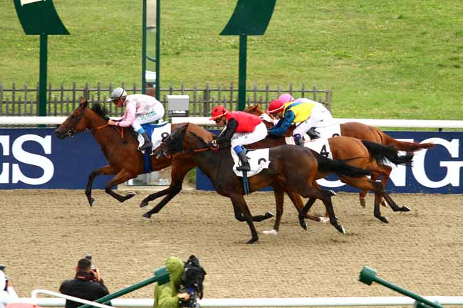 Arrivée quinté pmu PRIX DU BOIS DE LA TUILERIE à CHANTILLY