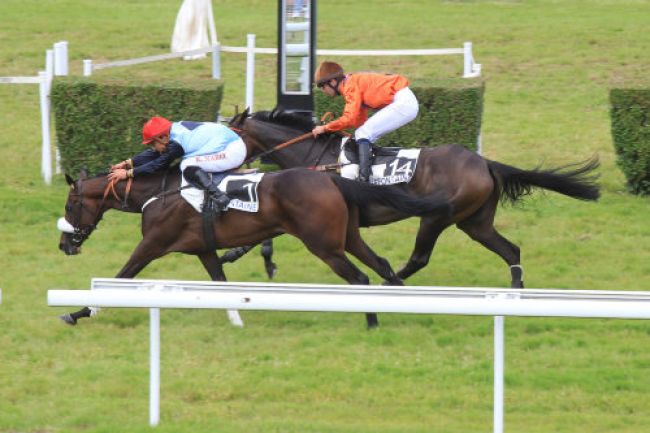 Arrivée quinté pmu PRIX DE LA DORETTE à CLAIREFONTAINE