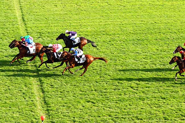 Photo d'arrivée de la course pmu PRIX DE GRISY à MAISONS-LAFFITTE le Samedi 10 octobre 2015