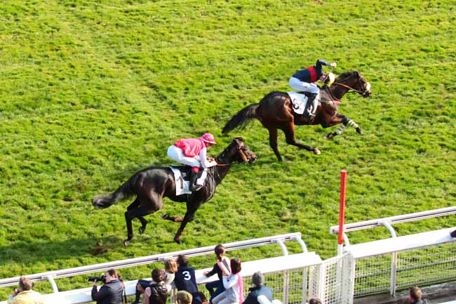 Photo d'arrivée de la course pmu PRIX PAUL'S CRAY à AUTEUIL le Dimanche 11 octobre 2015